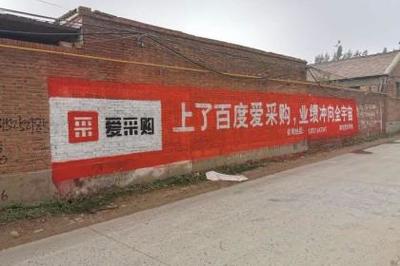 数字化转型路径 邯郸与四川的网络推广实践与发展趋势